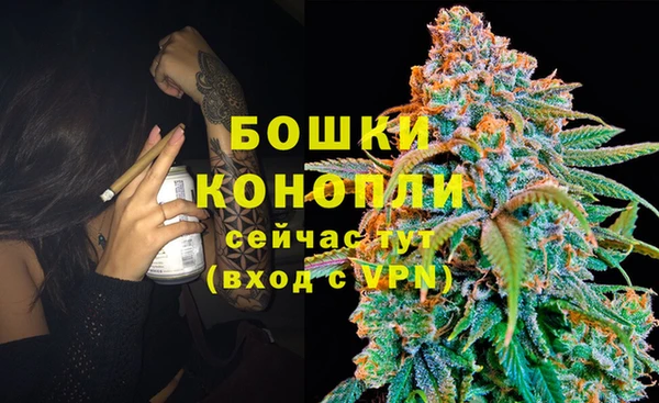 стафф Нефтекумск