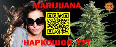 сатива Абакан