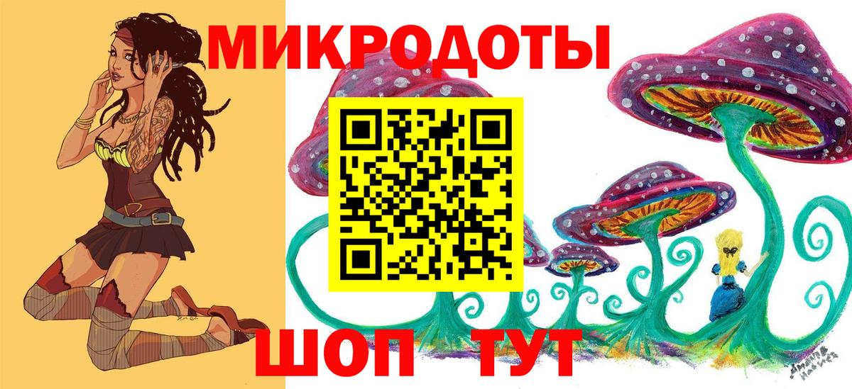 Псилоцибиновые грибы Psilocybe Набережные Челны