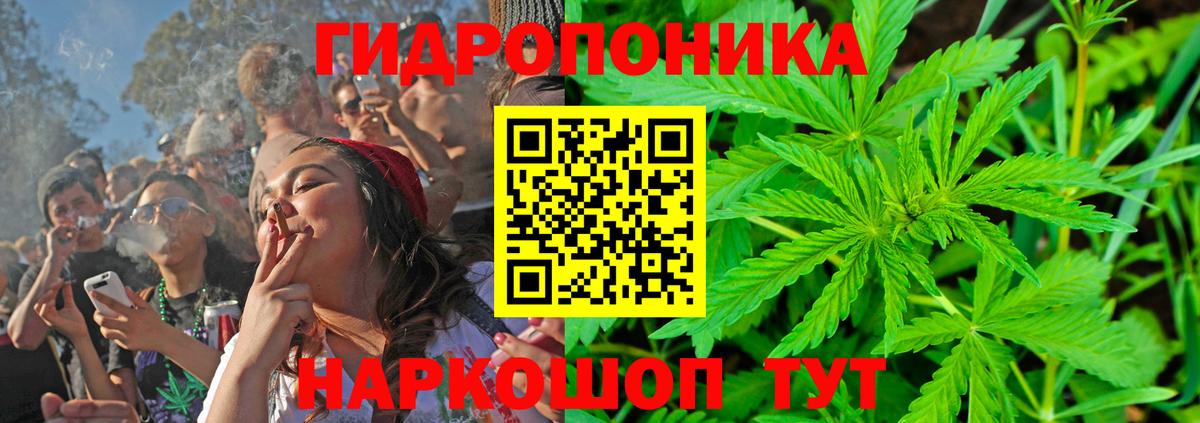 Шишки марихуана Bruce Banner  Шишки марихуана конопля  Вход с VPN  Набережные Челны 